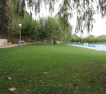 Fotografía de las zonas verdes de la piscina